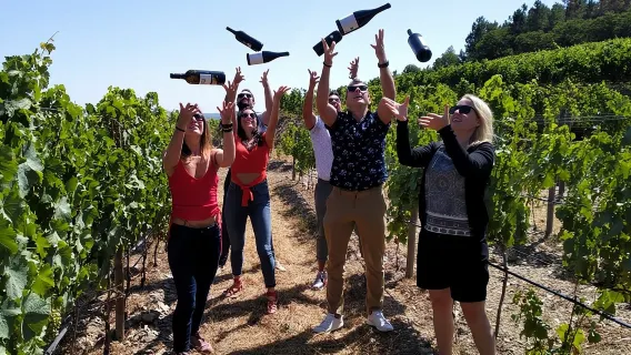 Tour per piccoli gruppi nella valle del Douro con degustazione di vini, pranzo e barca