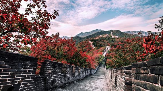 Bullet Train Private Tour: Beijing Tiananmen Square, Forbidden City & Great Wall