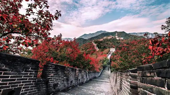 Bullet Train Private Tour: Beijing Tiananmen Square, Forbidden City & Great Wall