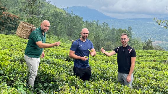 Nuwara Eliya Tea factory and waterfall tour
