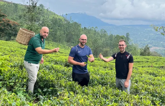 努沃勒埃利耶茶廠及瀑布之旅