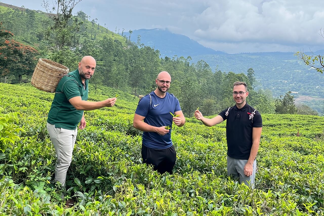 Visita a la fábrica de té y cascada de Nuwara Eliya