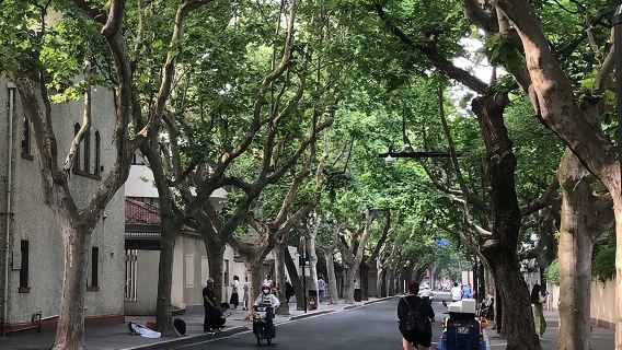 Historia de la Concesión Francesa: Una audioguía autoguiada