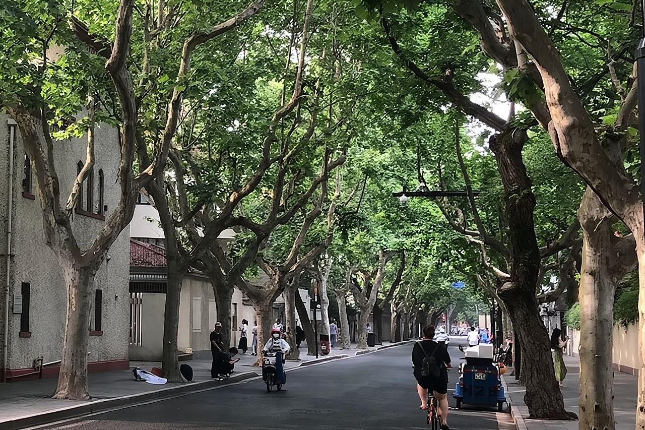 ประวัติศาสตร์ของเขตสัมปทานฝรั่งเศส: ทัวร์เสียงแนะนำตนเอง