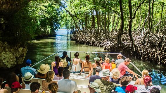 Punta Cana 3-in-1-Abenteuer: Los Haitises Park, Wasserfall und Montaña