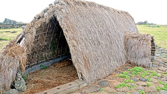 Lawatan Hotu Matua Sehari Penuh dari Vaihu ke Anakena