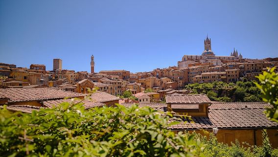 Excursión de un día a Pisa, Siena y San Gimignano con almuerzo incluido