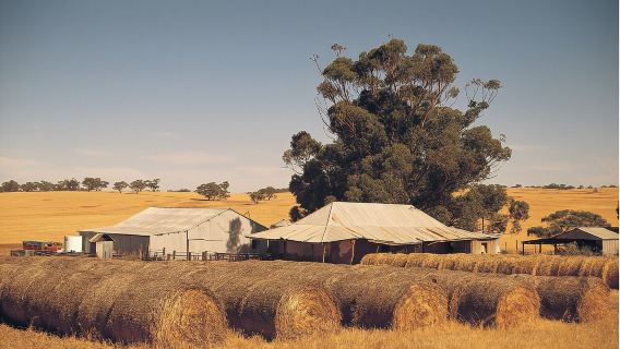 珀斯波浪岩一日遊【世界八大奇觀+中文導遊+市區接駁+含午餐】
