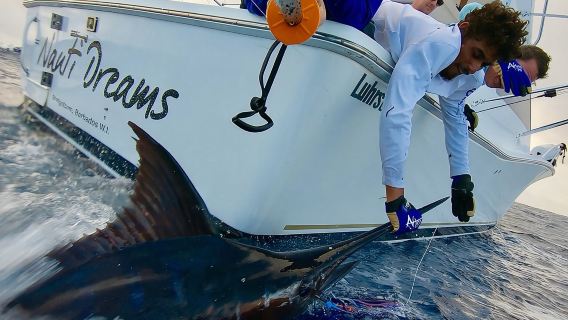 Fishing Trips in Barbados onboard Nauti Dreams Luxury Charters