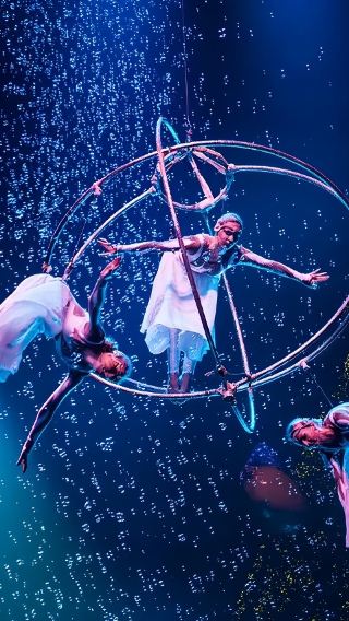 Guangzhou Chimelong International Circus & Chimelong Safari Park One-Day Tour (Private/Group Options Available)