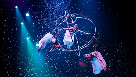 Guangzhou Chimelong Safari Park + Chimelong International Circus (Termasuk Bus Antar Jemput Sekali Jalan)