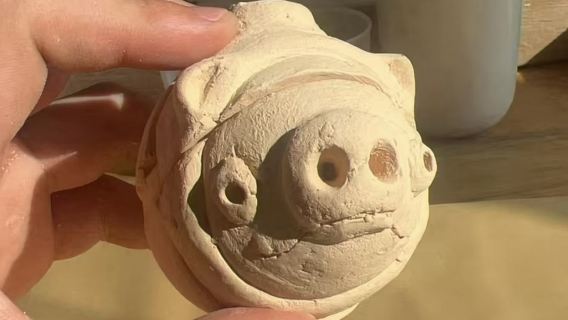 Chengdu Giant Panda Breeding Base + Sanxingdui Research Base (Field Archaeology|Bronze casting, etc.)