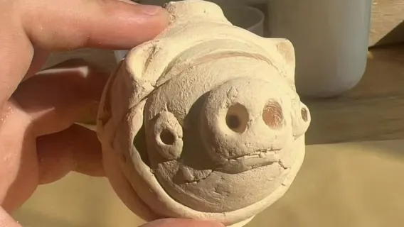 Chengdu Giant Panda Breeding Base + Sanxingdui Research Base (Field Archaeology|Bronze casting, etc.)