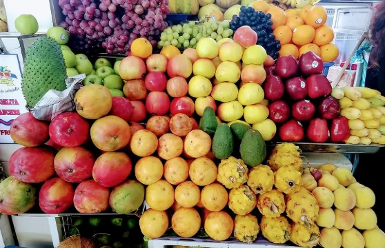 基多烹飪課（含廚師指導）、市場遊覽和交通