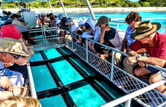 邁阿密至基韋斯特一日遊，含多種活動選擇