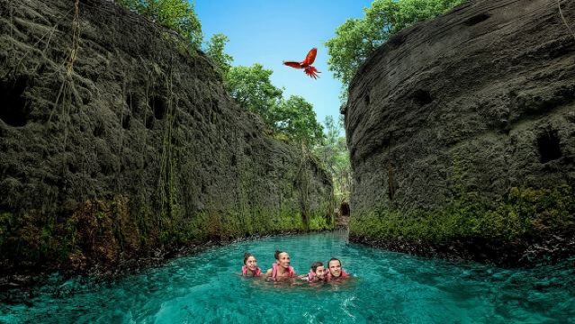 ทริปวันเดียวที่สวนสนุก Xcaret พร้อมบริการขนส่งและโชว์วัฒนธรรมยามค่ำคืน
