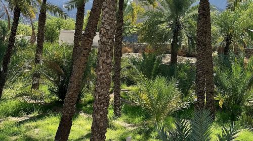 Private Full Day Hatta Visit Dam Heritage Village Lake Day Tours 6