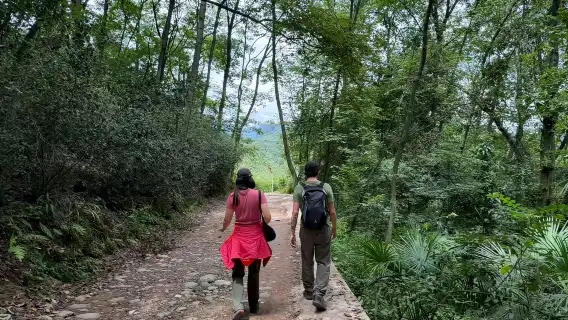 Hiking and tasting tea in Qingcheng Mountain - chengdu -Eatwith