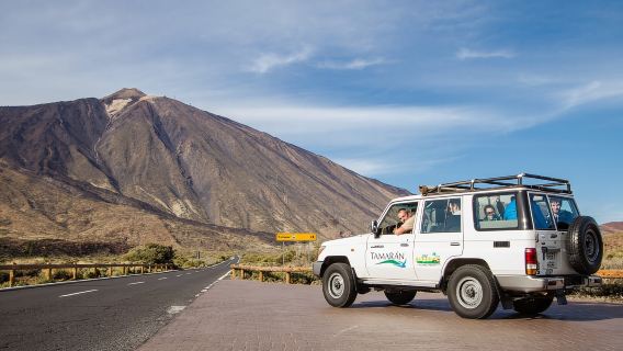 From Playa de las Américas: Full-Day Teide Jeep Safari