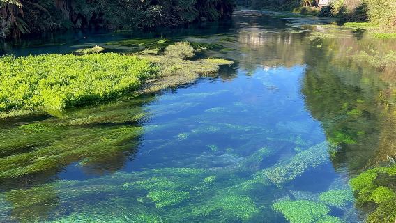 TE PUIA - Maori Hangi Lunch, Polynesian Spa & Blue Springs