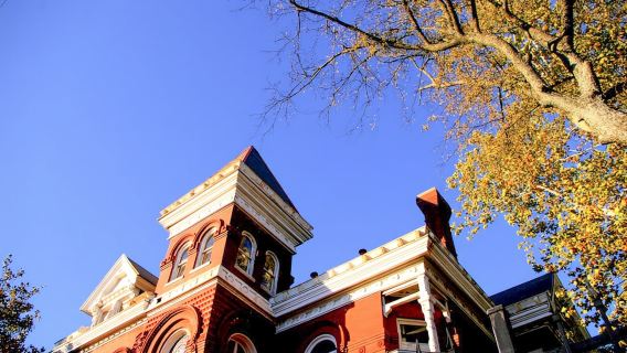 Memphis: City Discovery Bus Tour