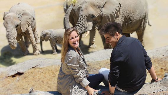 Puebla Africam Safari Park, ¡Vive una Aventura Inolvidable!