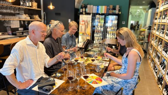 Bordeaux : Visite historique du vin avec dégustation
