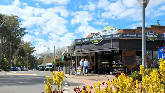 從雪梨出發：藍山之旅，瀑布漫步和午餐