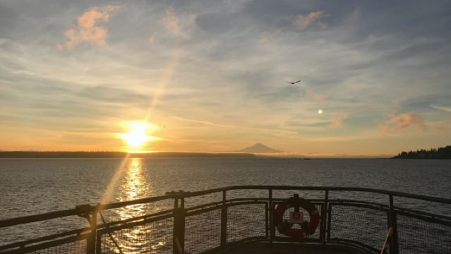 Seattle: Crociera con Vista Estiva