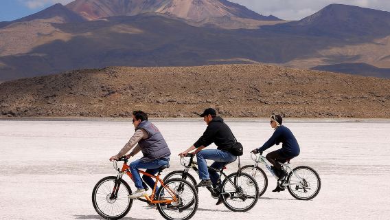 Desde Uyuni: Tour en bicicleta al Salar de Uyuni de 1 día + almuerzo