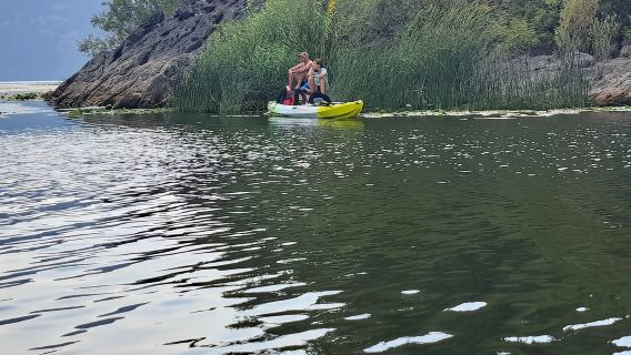 Skadar Lake kayak rent: A Journey Through Tranquility