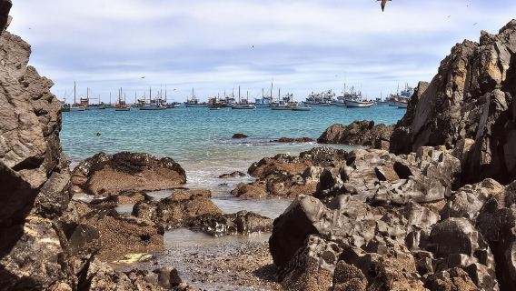 Piura: Full day excursion to Paita and Colán