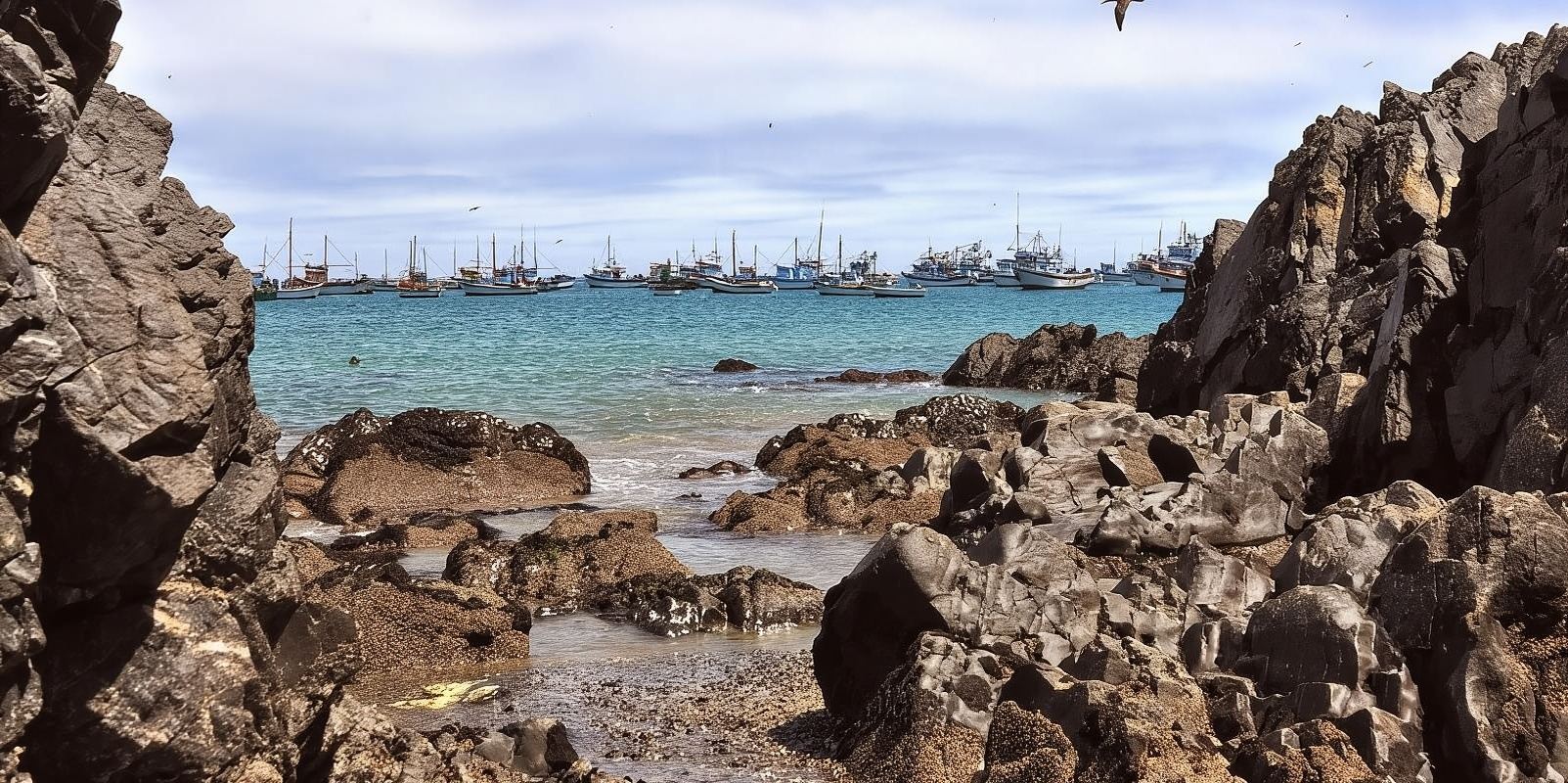 Piura: Full day excursion to Paita and Colán