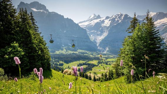 Da Zurigo: Grindelwald First Cable Car e Interlaken