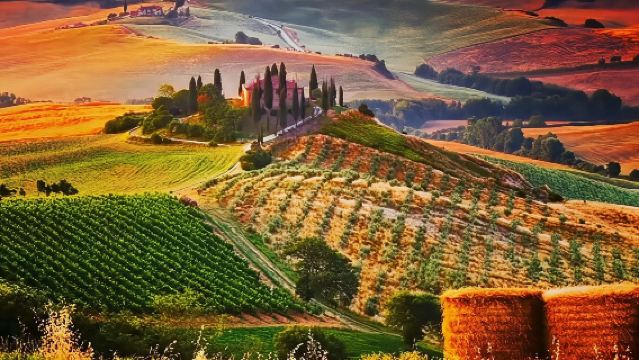 lawatan sehari sewaan peribadi Tuscany Florence Itali