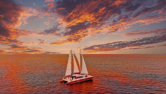 Aruba Morning Snorkeling or Sunset Sail to Boca Catalina With BBQ