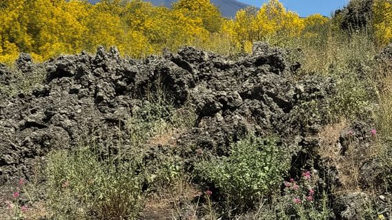 Mount Etna: Etna 4x4 Jeep Tour Half-Day Morning
