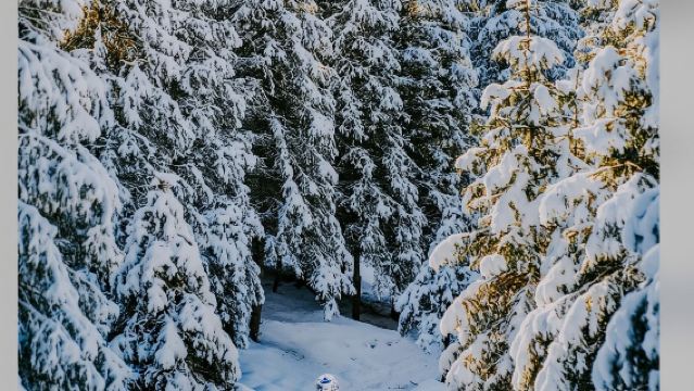 冬季-庫爾德寧一日遊