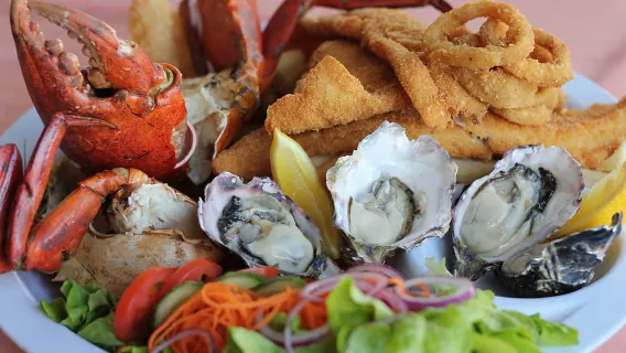 黃金海岸特威德河+可倫賓野生動物保護園【翠兒河捉泥蟹丨包車】