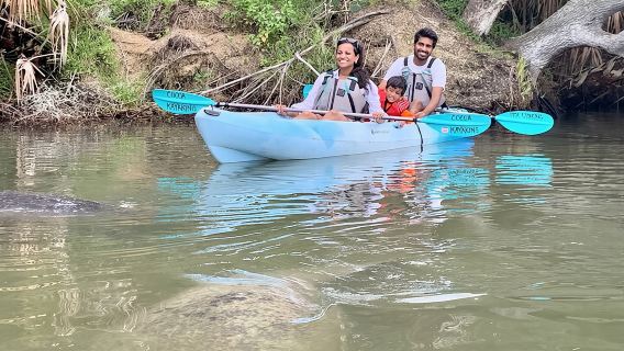 Wildlife Refuge Manatee, Dolphin & Mangrove Kayak or Paddleboarding Tour!