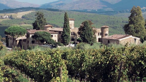 Chianti: Wine & Olive Oil Tasting with Guided Tour + Roundtrip from Florence