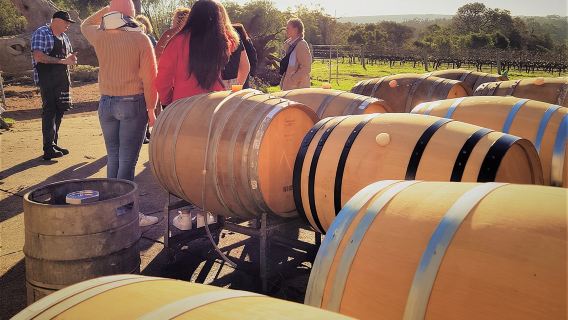 Secret Delights: Wine, Coffee, Artisan and Forest Tour