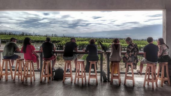 All Day, Small Group, Luxury Wine Tour with Gourmet Lunch