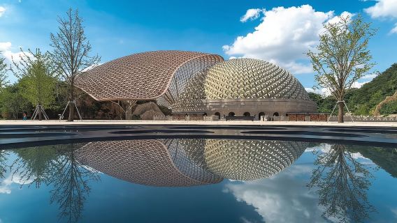 excursión de un día a Nanjing con el lago Xuanwu, Niushoushan y la zona del Templo de Confucio