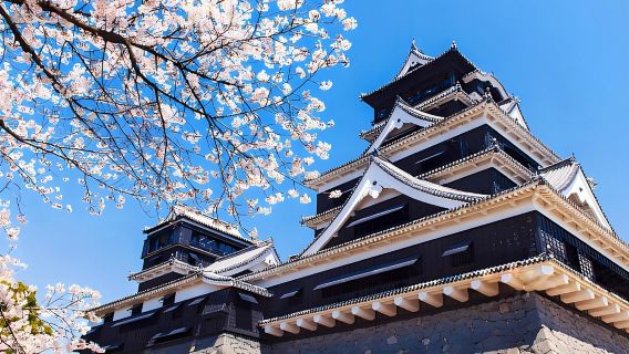 Partenza da Fukuoka/Kumamoto: Esplorazione del Castello di Kumamoto + Cratere del Vulcano Aso + Esperienza di Equitazione a Kusasenri