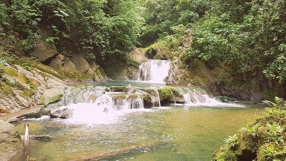 Aripo Waterfall Adventure