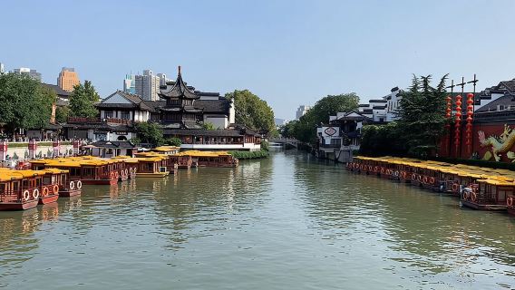 Excursión privada de un día en Nanjing: Muralla de la Ciudad Vieja, Palacio Chaotian, Río Qinghuai