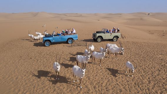 Safari dans le désert de Dubaï en Land Rover vintage avec dîner
