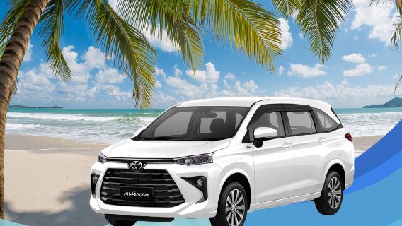 Bintan Half Day or Full Day Car Hire with Driver - Private Tour Option