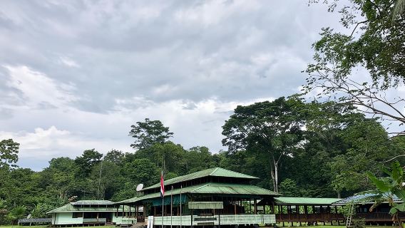 Escursione di un giorno alla stazione di Sirena, Parco nazionale del Corcovado da Quepos.